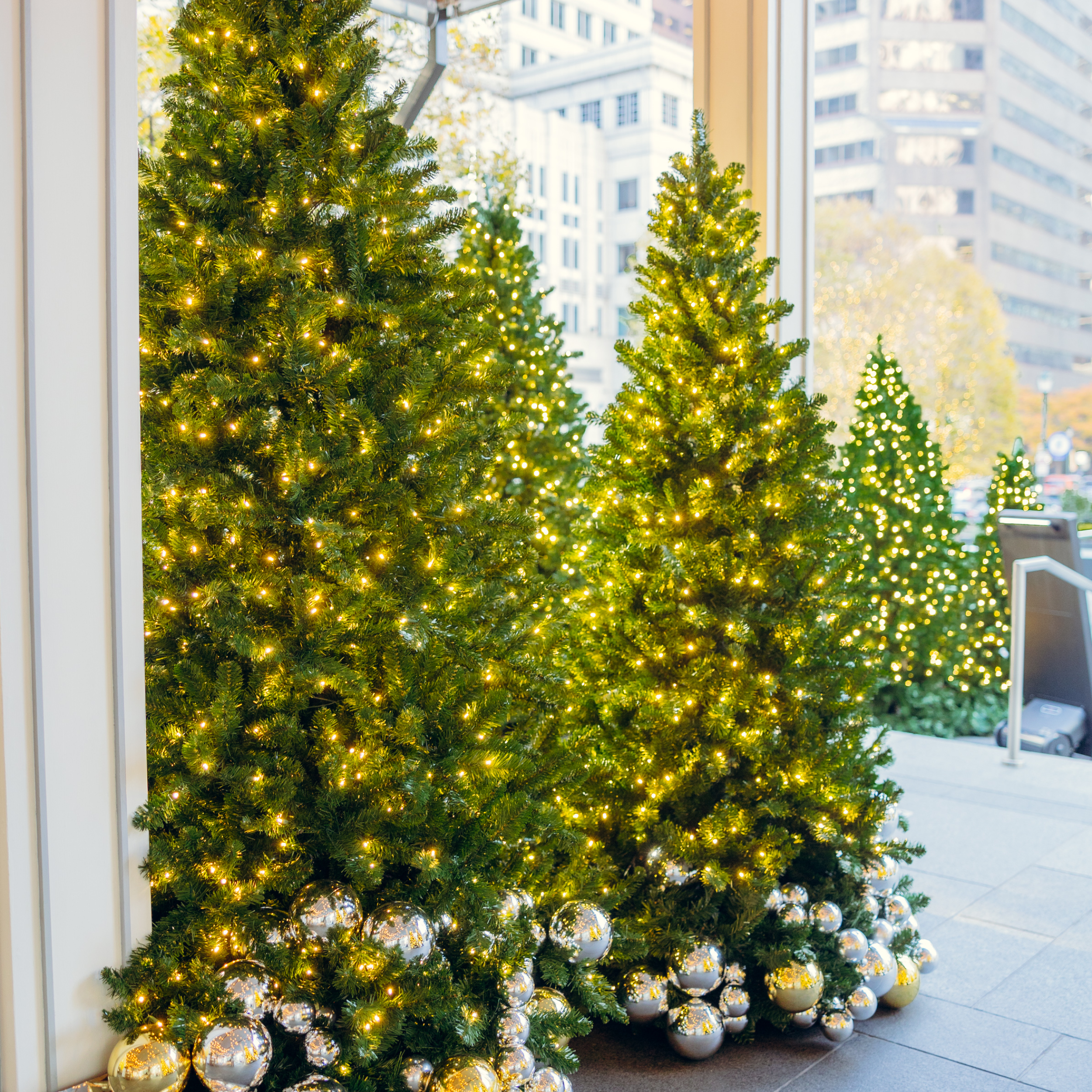 Two Christmas Trees with lights.